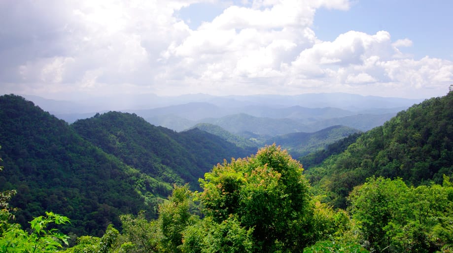 que-ver-en-tailandia-3 que-ver-en-tailandia