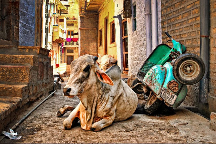 ruta_por_india Ruta por India