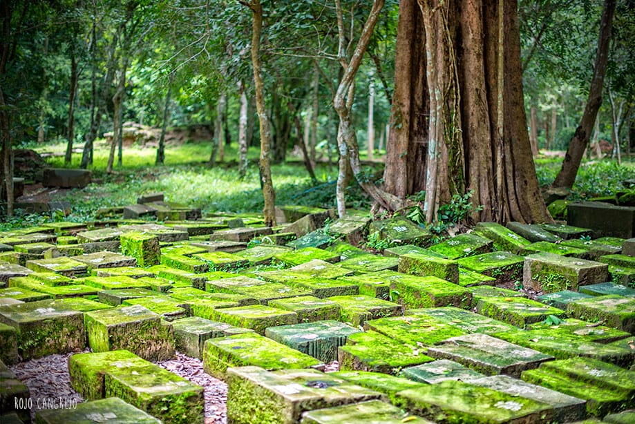 camboya cambodia angkor wat