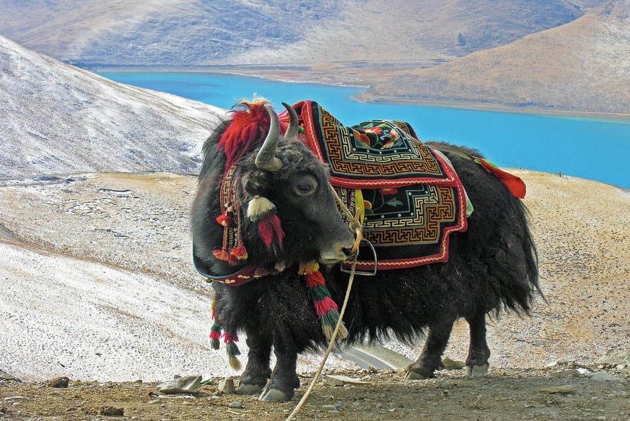 tibet2 tibet china