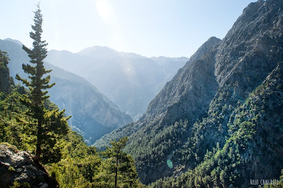 Garganta de Samaria Garganta de Samaria en Creta