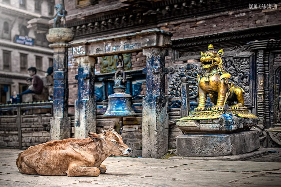 que-ver-nepal Qué visitar en Bhaktapur