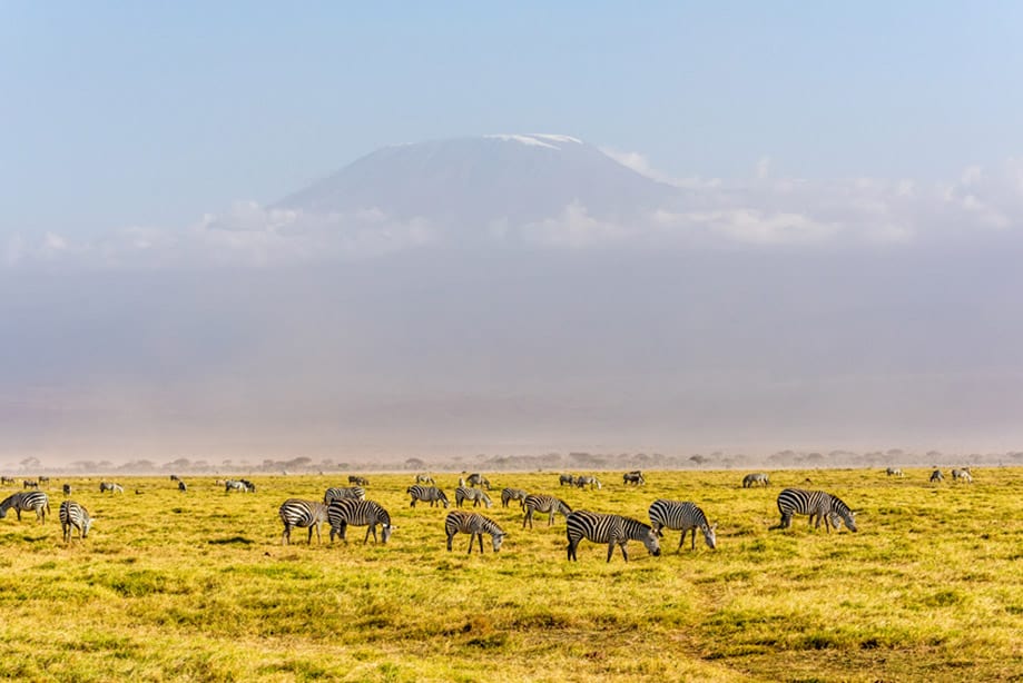 kilimanjaro que ver en tanzania