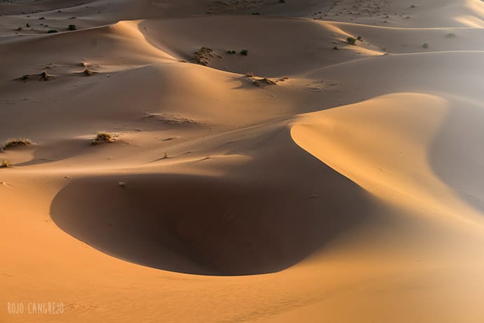 Que_ver_y_hacer_en_Erg_Chebbi Desierto | Rojo Cangrejo