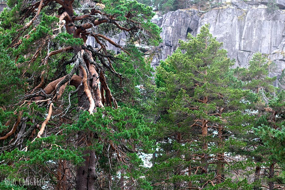 que_hacer_en_la_laguna_negra_soria qué hacer en la Laguna Negra Soria