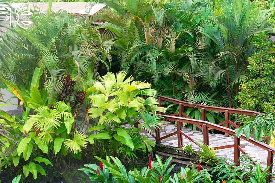 viaje_Costa_Rica Viaje a Costa Rica