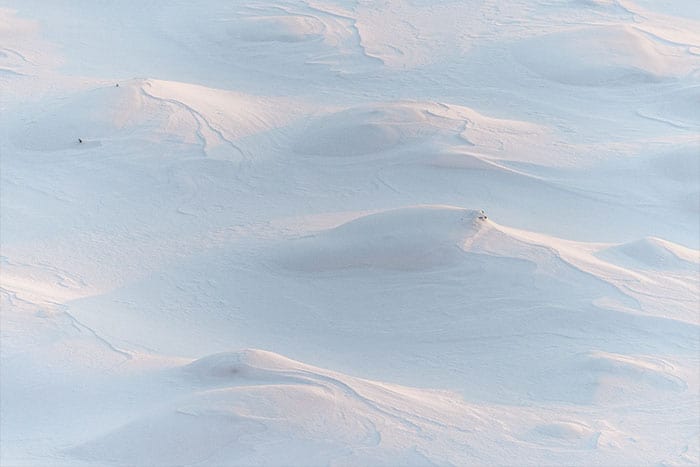 nieve