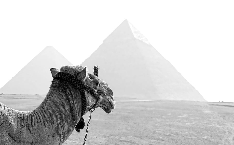 guia-completa-de-egipto guía completa de Egipto | Rojo Cangrejo Blog de Viajes