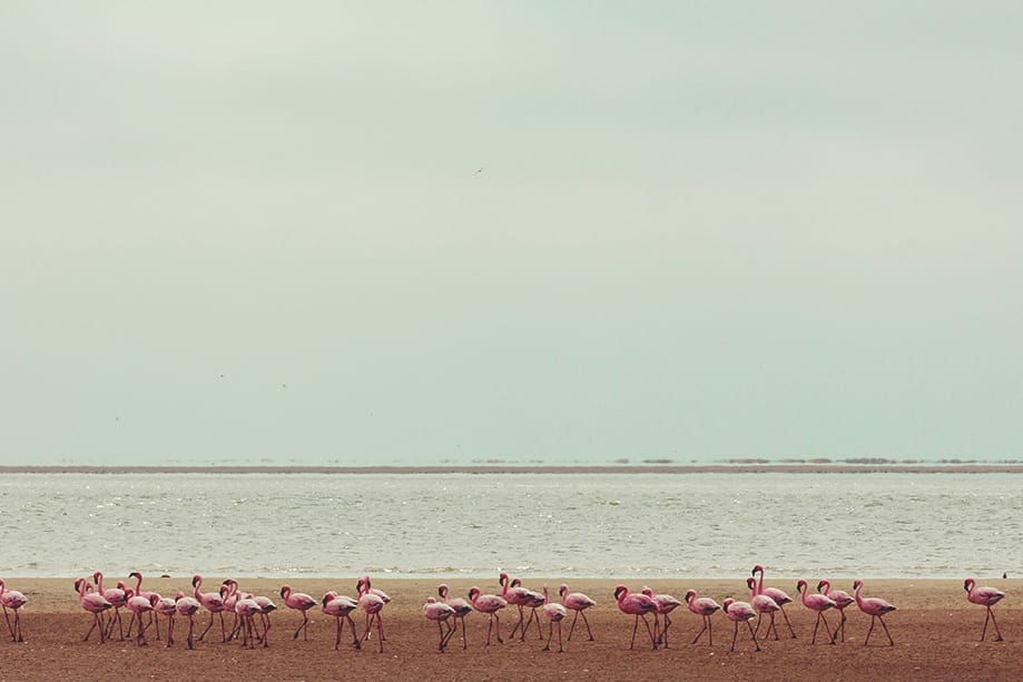 namibia-cuando-ir namibia cuando ir | Rojo Cangrejo Blog de Viajes